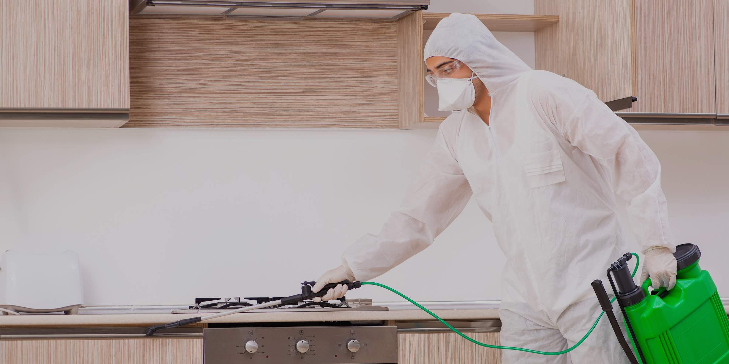 khử mối côn trùng